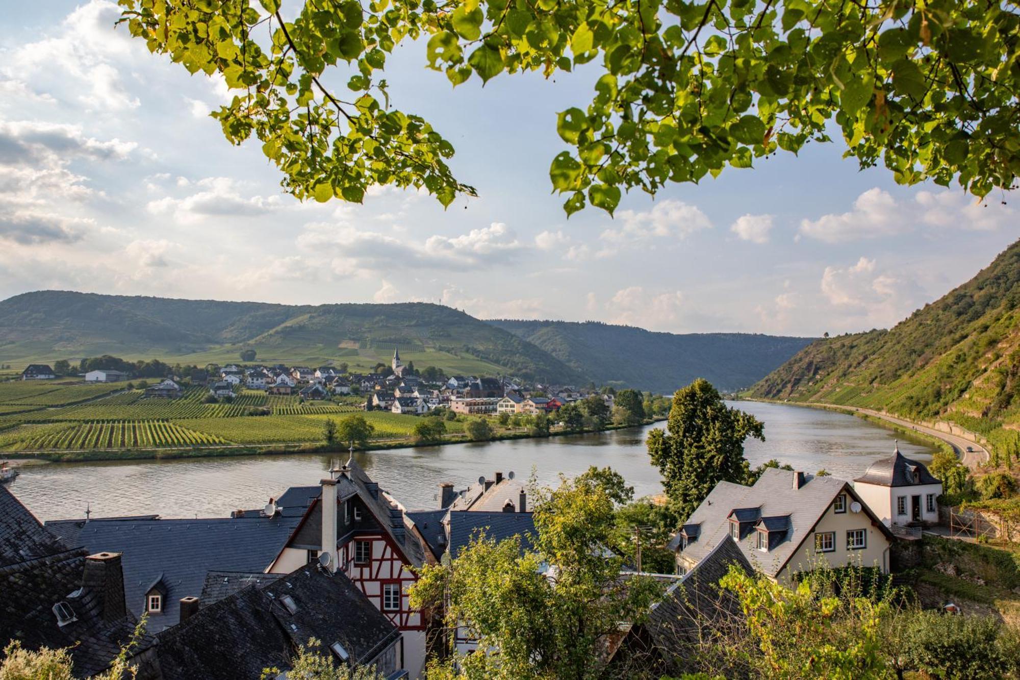 Hotel Gute Quelle Beilstein  Extérieur photo